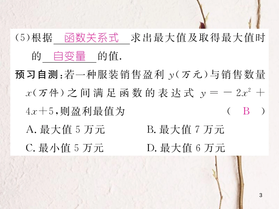 九年级数学下册 第二章 二次函数 2.4 二次函数的应用（2）作业课件 （新版）北师大版_第3页