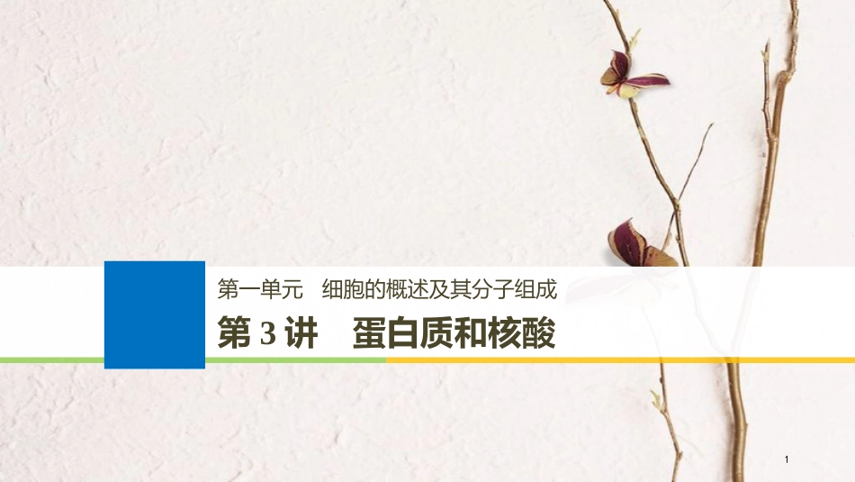 （江苏通用）2019版高考生物大一轮复习 第一单元 细胞的概述及其分子组成 第3讲 蛋白质和核酸课件_第1页