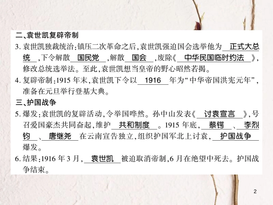 八年级历史上册 第三单元 资产阶级民主革命与中华民国的建立 第11课 北洋政府的黑暗统治习题课件 新人教版_第2页