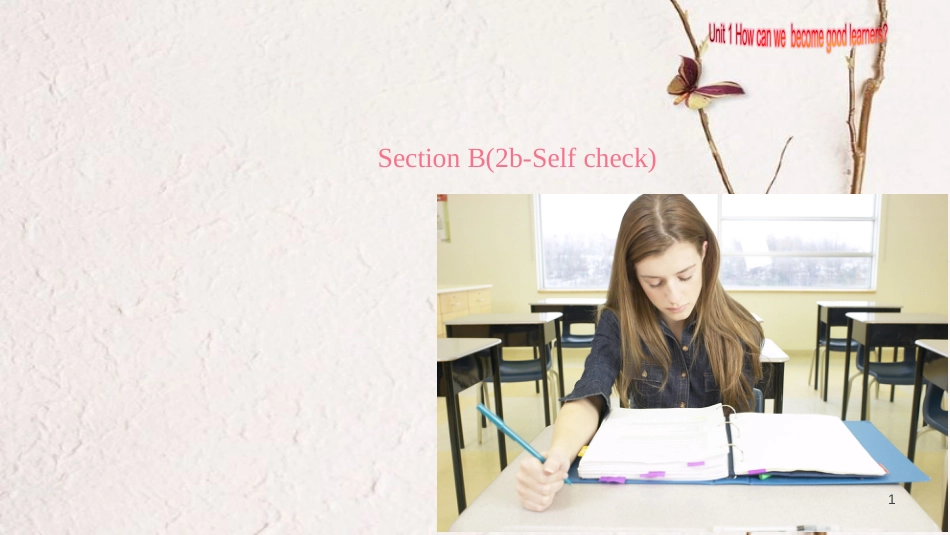 广东省汕尾市陆丰市九年级英语全册 Unit 1 How can we become good learners Section B（2b-Self check）课件 （新版）人教新目标版_第1页