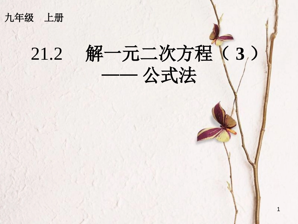 内蒙古鄂尔多斯市康巴什新区九年级数学上册 第21章 一元二次方程 21.2 解一元二次方程（3）—公式法课件 （新版）新人教版_第1页