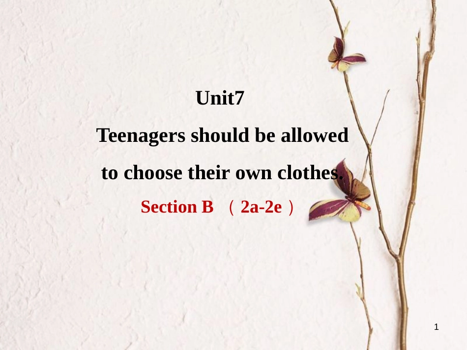 甘肃省武威市民勤县九年级英语全册 Unit 7 Teenagers should be allowed to choose their own clothes（第4课时）课件 （新版）人教新目标版_第1页