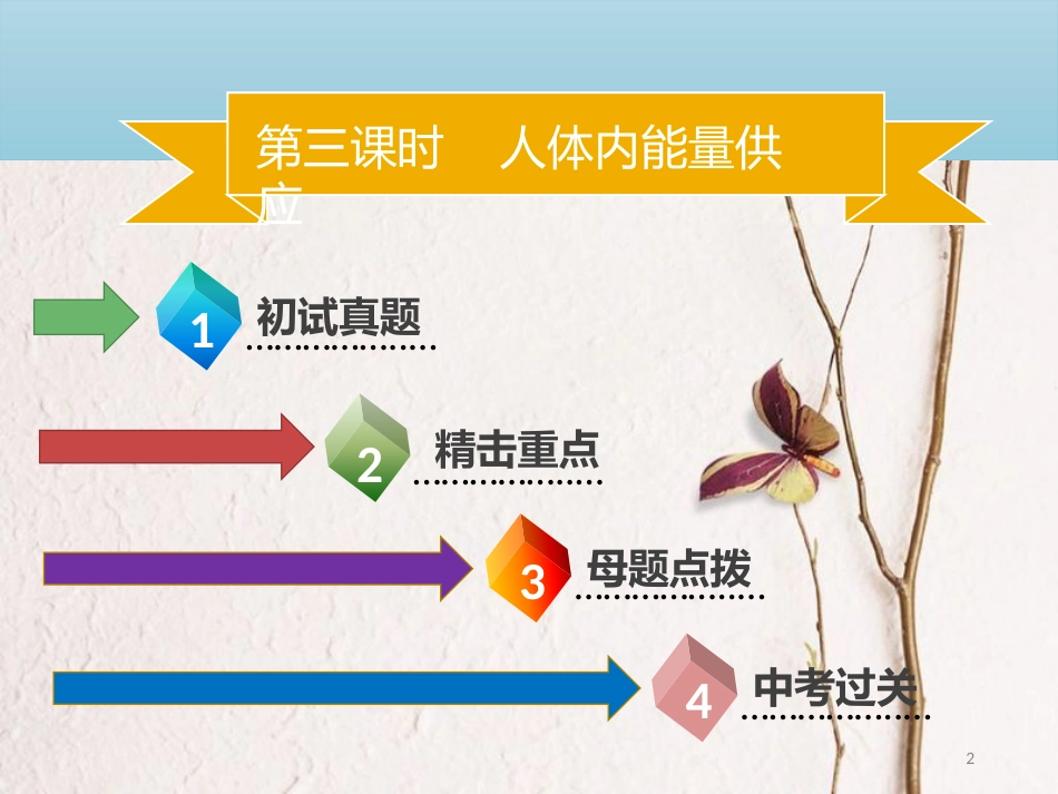 广东省中考生物 模块四 生物圈中的人 第三课时 人体内能量供应课件_第2页