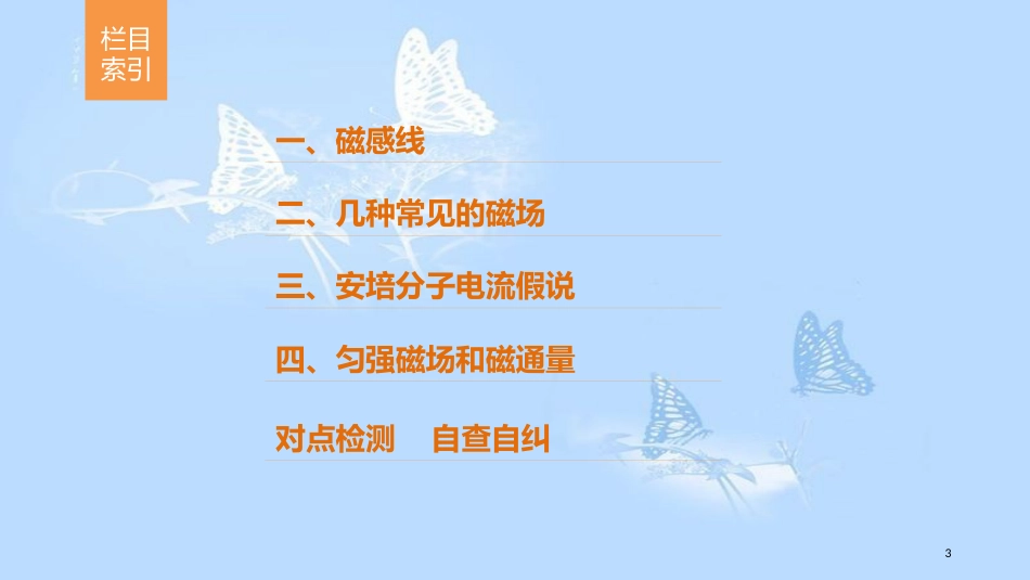 高中物理 第三章 磁场 第3讲 几种常见的磁场课件 新人教版选修3-1_第3页