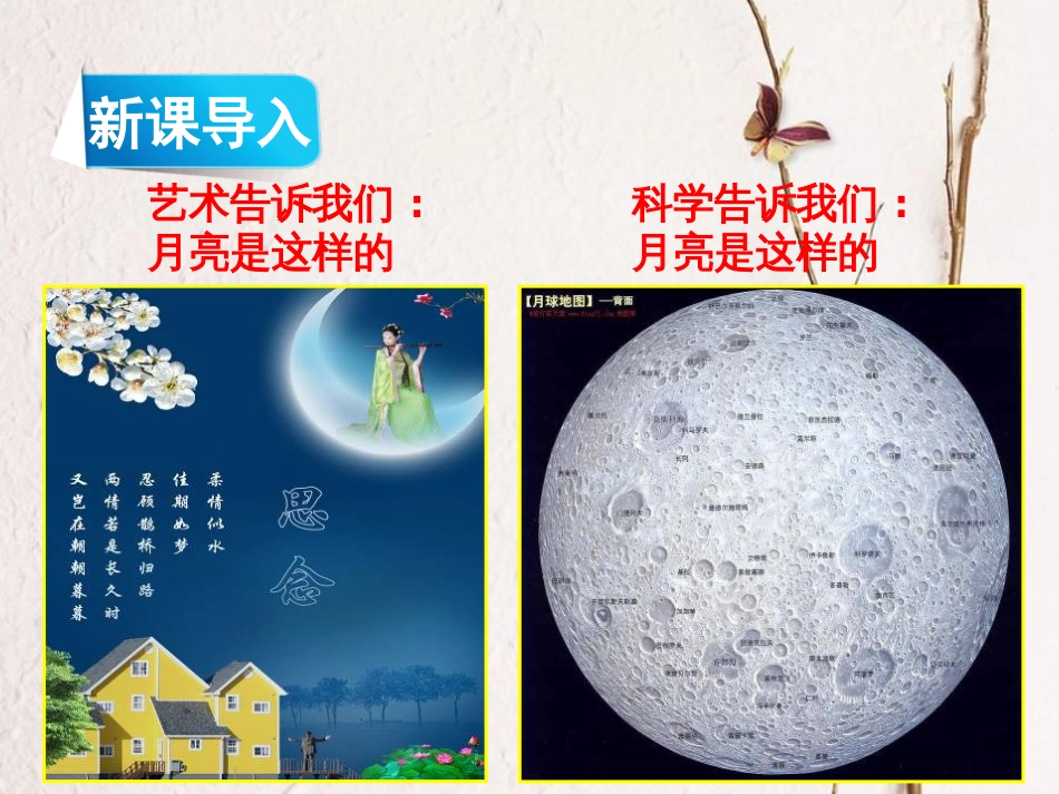 九年级语文下册 第三单元 12 科学与艺术上课课件 语文版_第3页