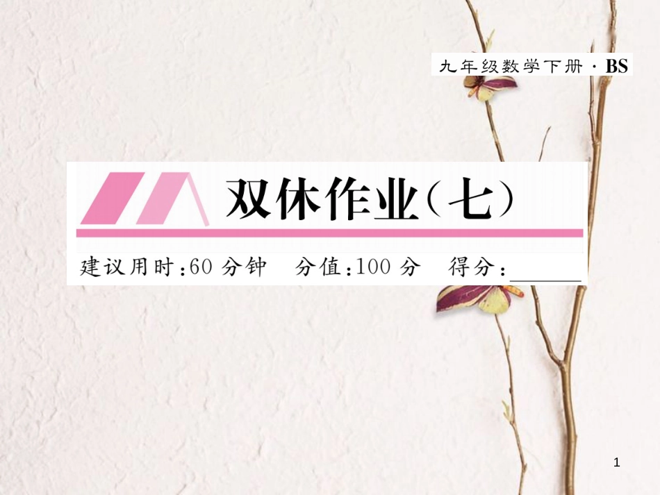 九年级数学下册 双休作业（七）作业课件 （新版）北师大版_第1页