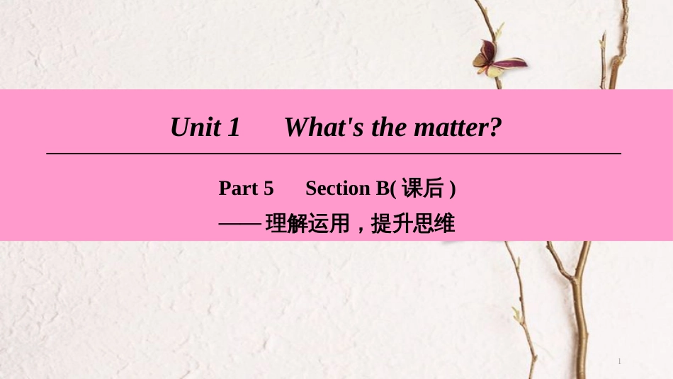 八年级英语下册 Unit 1 What’s the matter Part 5 Section B（课后）课件 （新版）人教新目标版_第1页