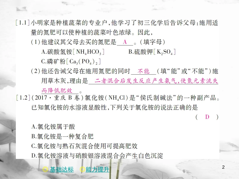 年春九年级化学下册 第十一章 盐 化肥 课题2 化学肥料课件 （新版）新人教版_第2页