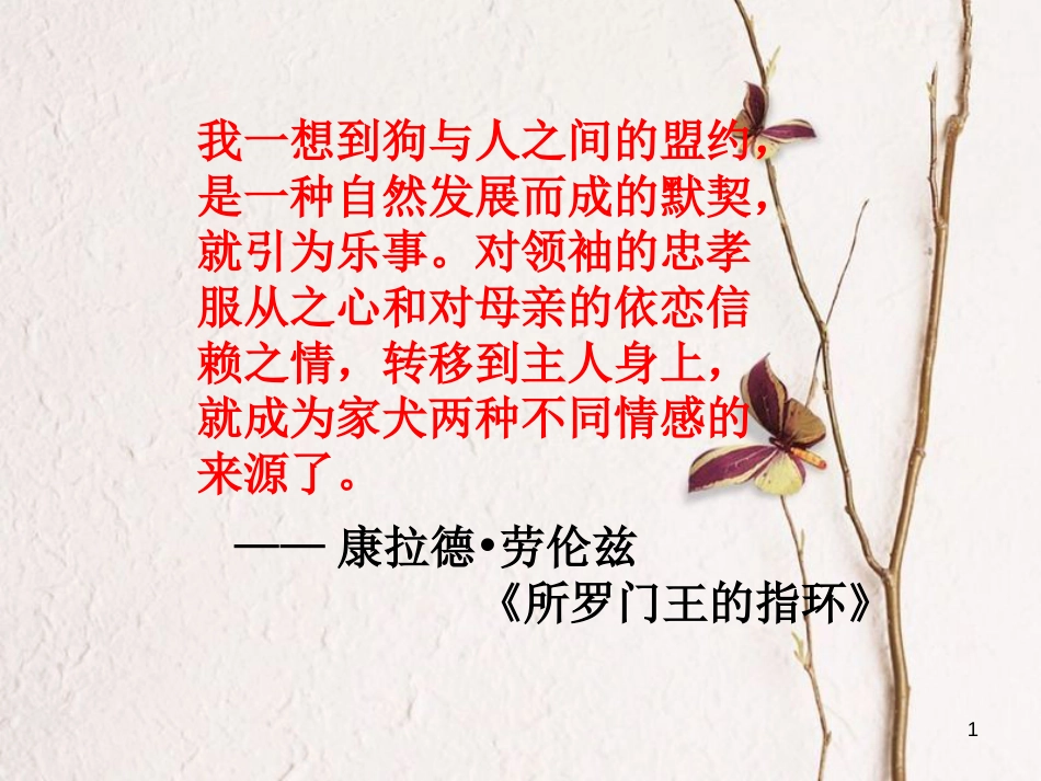 湖南省益阳市七年级语文上册 第五单元 19动物笑谈课件 新人教版_第1页