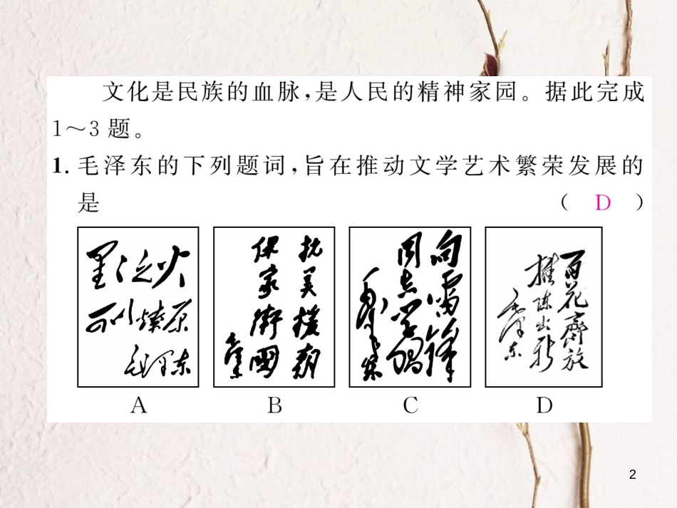 （河北专版）中考历史总复习 第12讲 中国现代科技、教育、文化与社会生活命题强化练课件_第2页