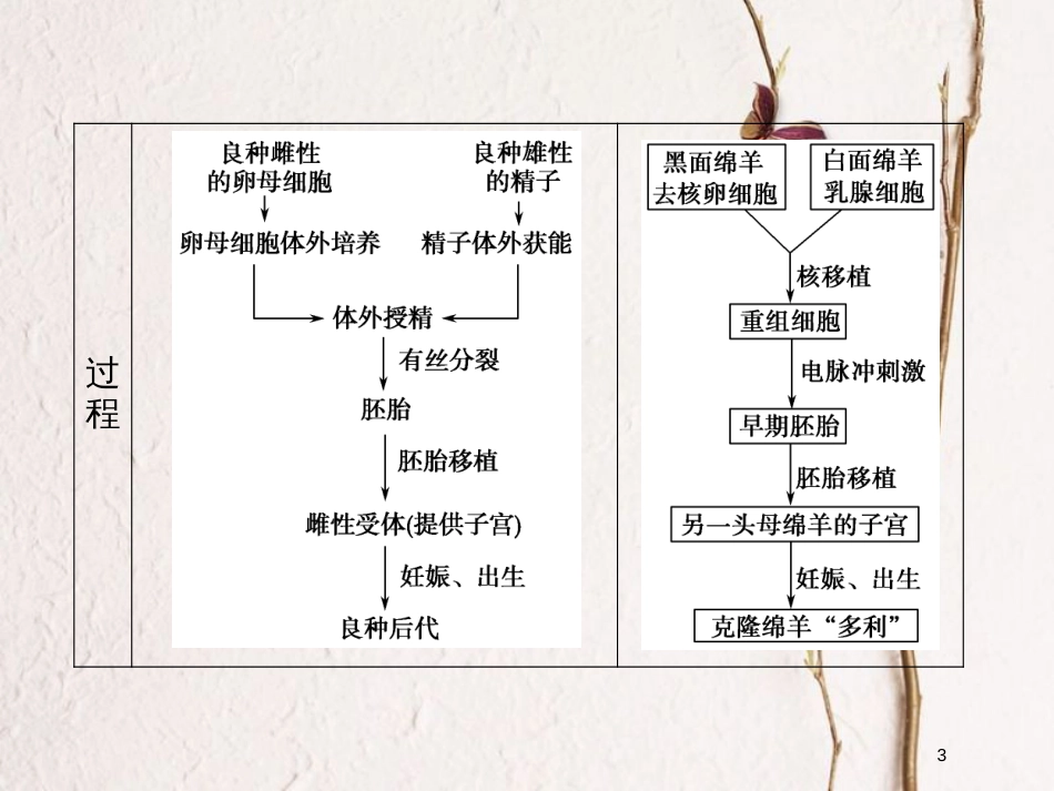 高中生物 第一单元 生物技术与生物工程 第三章 胚胎工程章末整合课件 中图版选修3_第3页