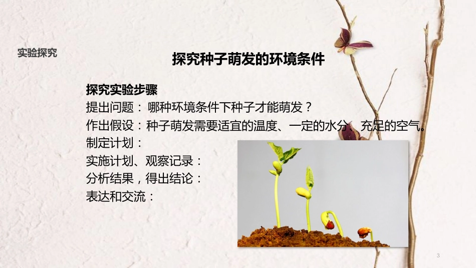 七年级生物上册 第三单元 第二章 第一节《种子的萌发》课件 （新版）新人教版_第3页
