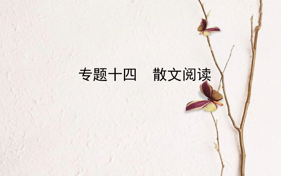 山东省德州市中考语文 专题复习十四 散文阅读课件_第1页