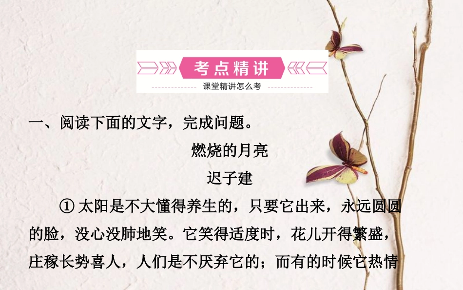 山东省德州市中考语文 专题复习十四 散文阅读课件_第2页