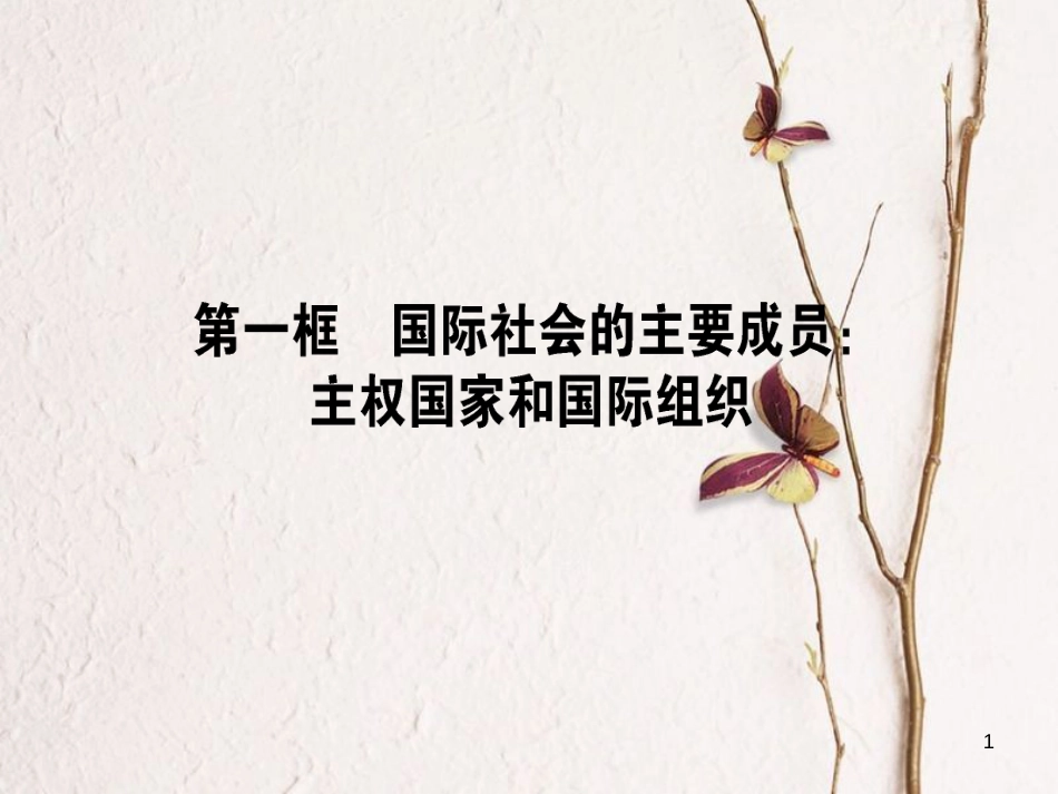 高中政治 4.8.1国际社会的主要成员：主权国家和国际组织课件 新人教版必修2_第1页