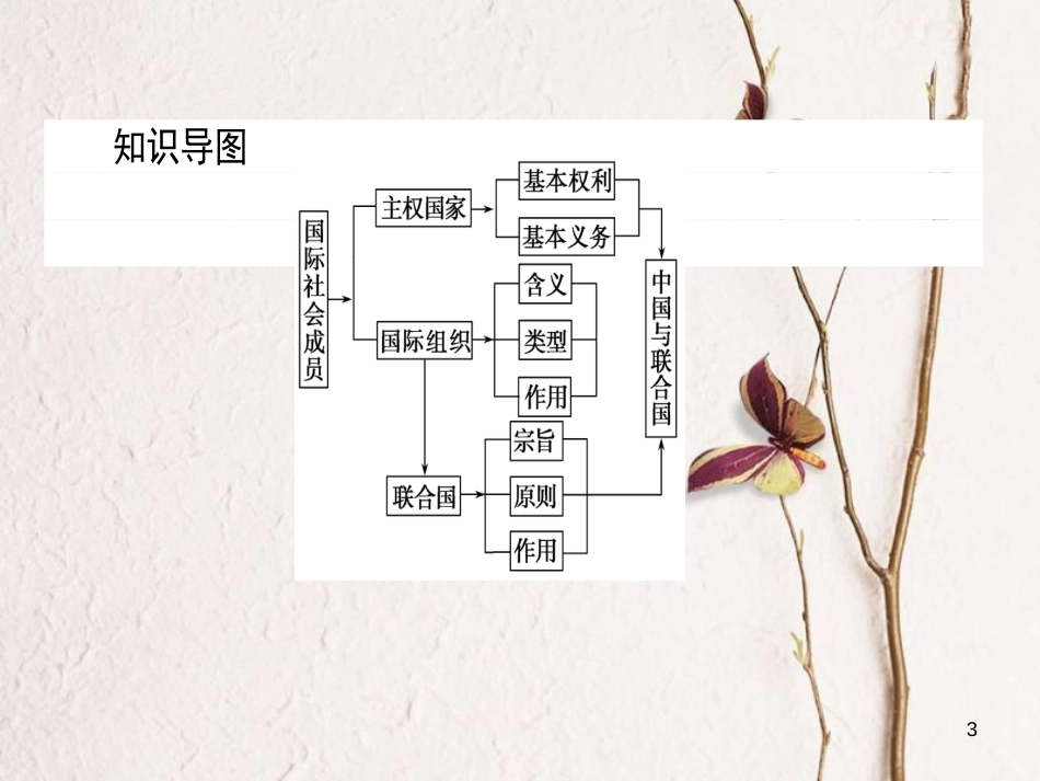 高中政治 4.8.1国际社会的主要成员：主权国家和国际组织课件 新人教版必修2_第3页
