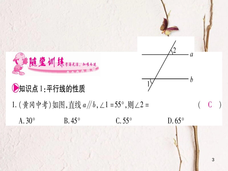 七年级数学下册 第5章 相交线与平行线 5.3 平行线的性质习题课件 （新版）新人教版_第3页