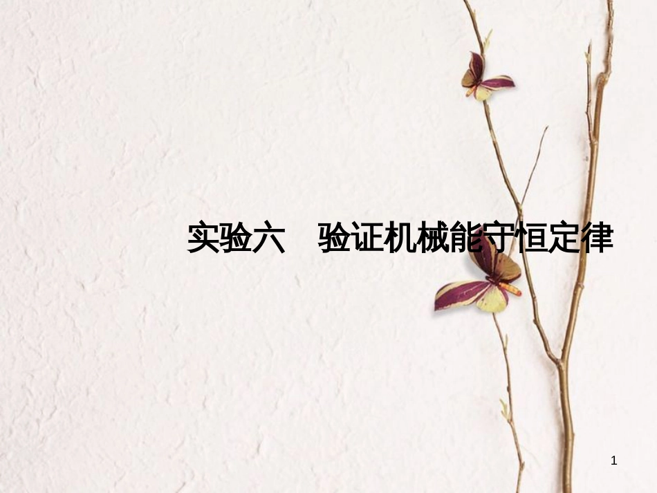 2019版高考物理总复习 第五章 机械能 实验六 验证机械能守恒定律课件(1)_第1页