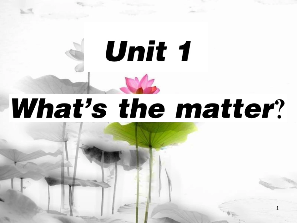 年春八年级英语下册 Unit 1 What’s the matter（第2课时）习题课件 （新版）人教新目标版_第1页