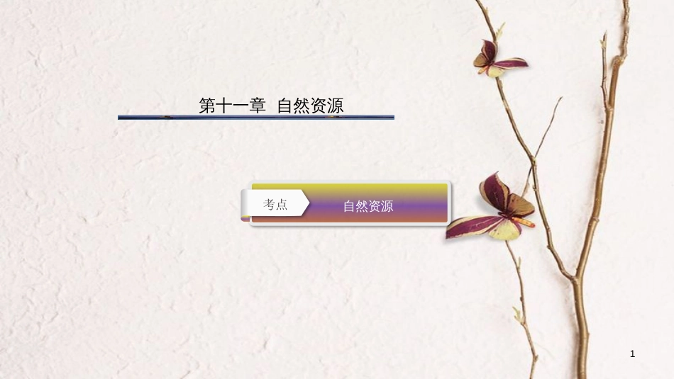 云南省中考地理总复习 第十一章 自然资源课件_第1页