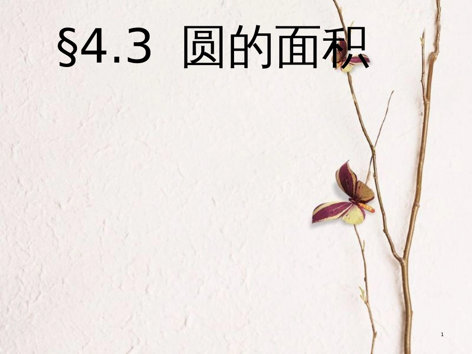 六年级数学上册 第4章 圆和扇形 4.3圆的面积课件 鲁教版五四制_第1页