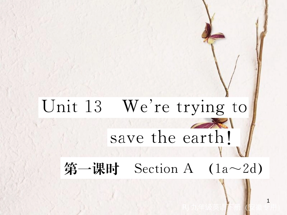 （安徽专版）九年级英语全册 Unit 13 We’re trying to save the earth（第1课时）习题课件 （新版）人教新目标版_第1页