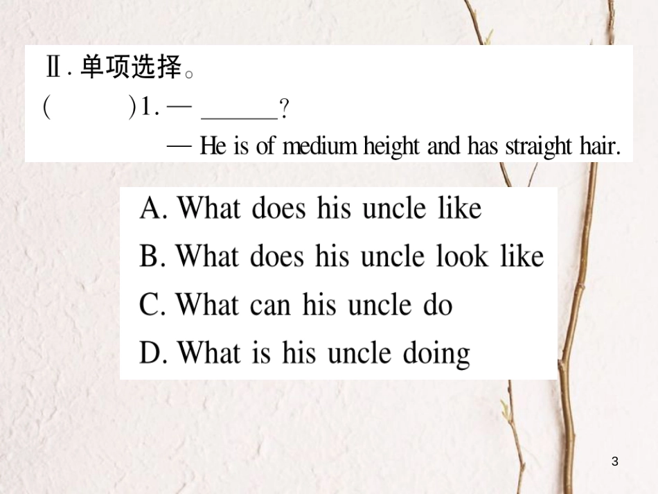七年级英语下册 Unit 9 What does he look like（第1课时）习题课件 （新版）人教新目标版_第3页