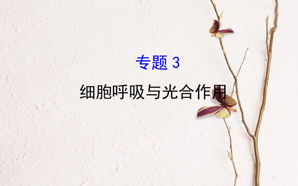 高三生物二轮复习 2.3 专题3 细胞呼吸与光合作用课件_第1页