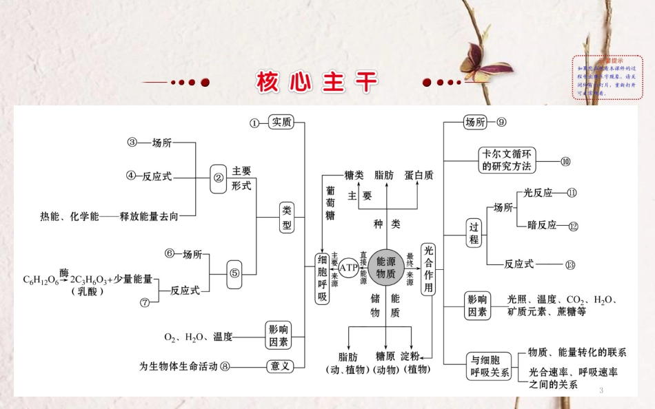 高三生物二轮复习 2.3 专题3 细胞呼吸与光合作用课件_第3页