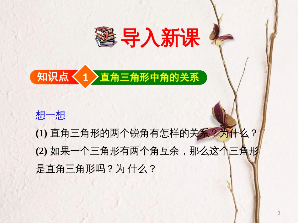 八年级数学下册 第一章 三角形的证明 1.2.1 直角三角形课件 （新版）北师大版_第3页