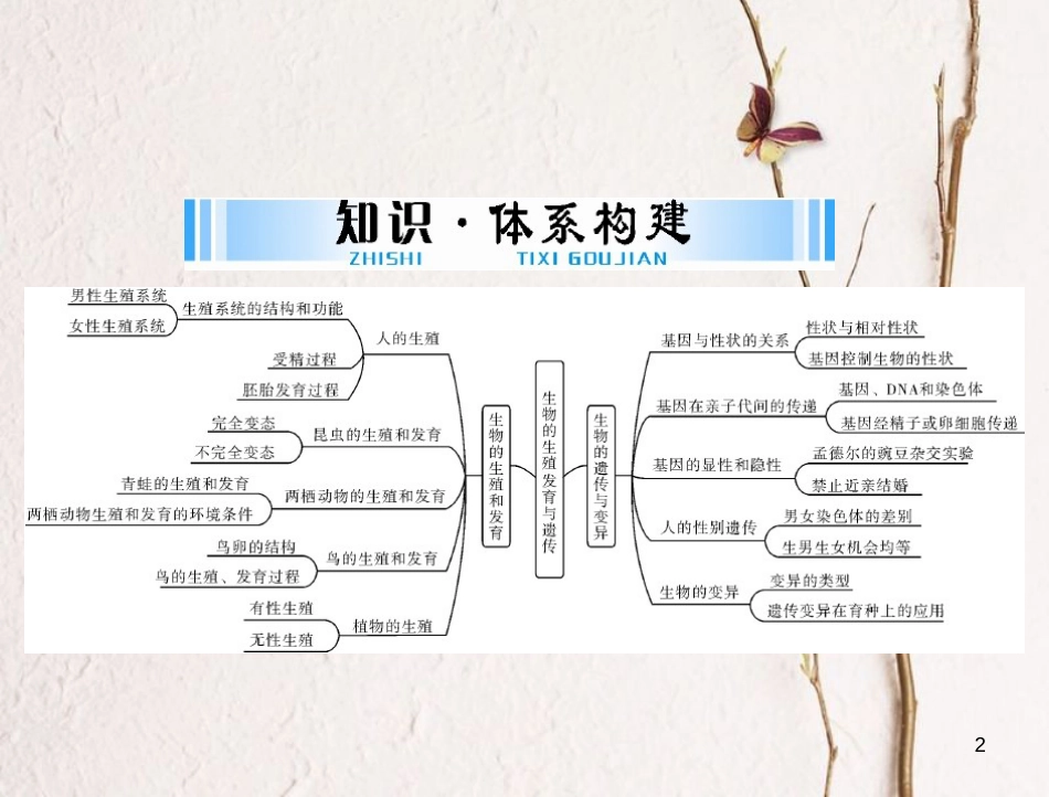 中考生物 考点梳理 第一轮 第六章 第一讲 生物的生殖和发育课件_第2页