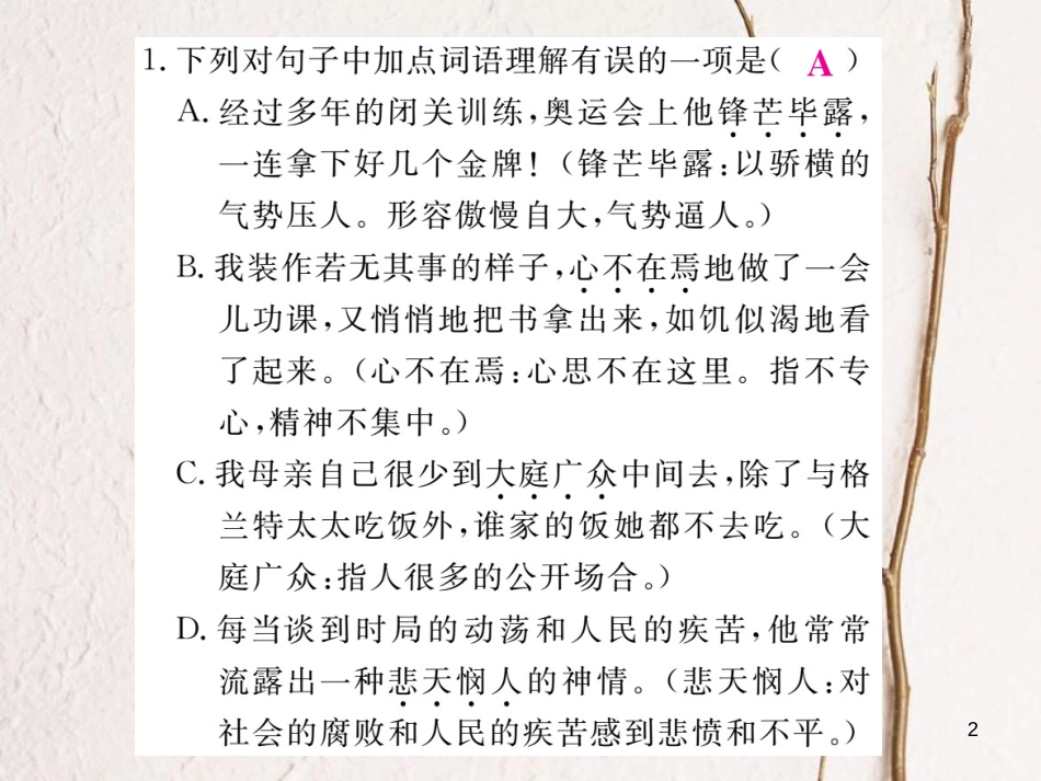 七年级语文下册 专题复习二 词语运用课件 新人教版_第2页