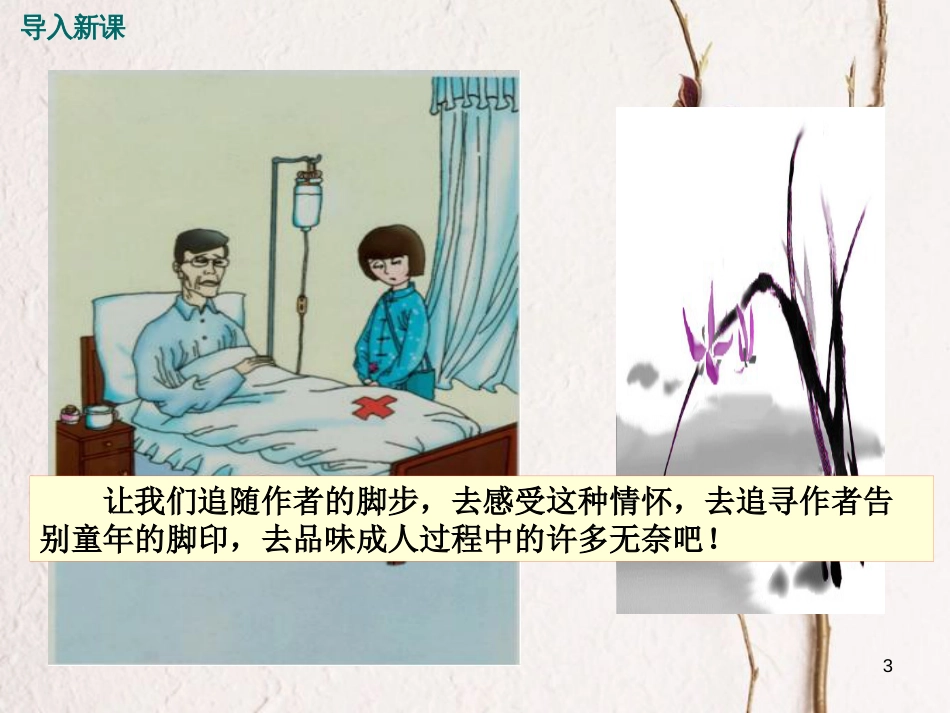 七年级语文上册 第一单元 第3课《爸爸的花儿落了》课件 语文版_第3页