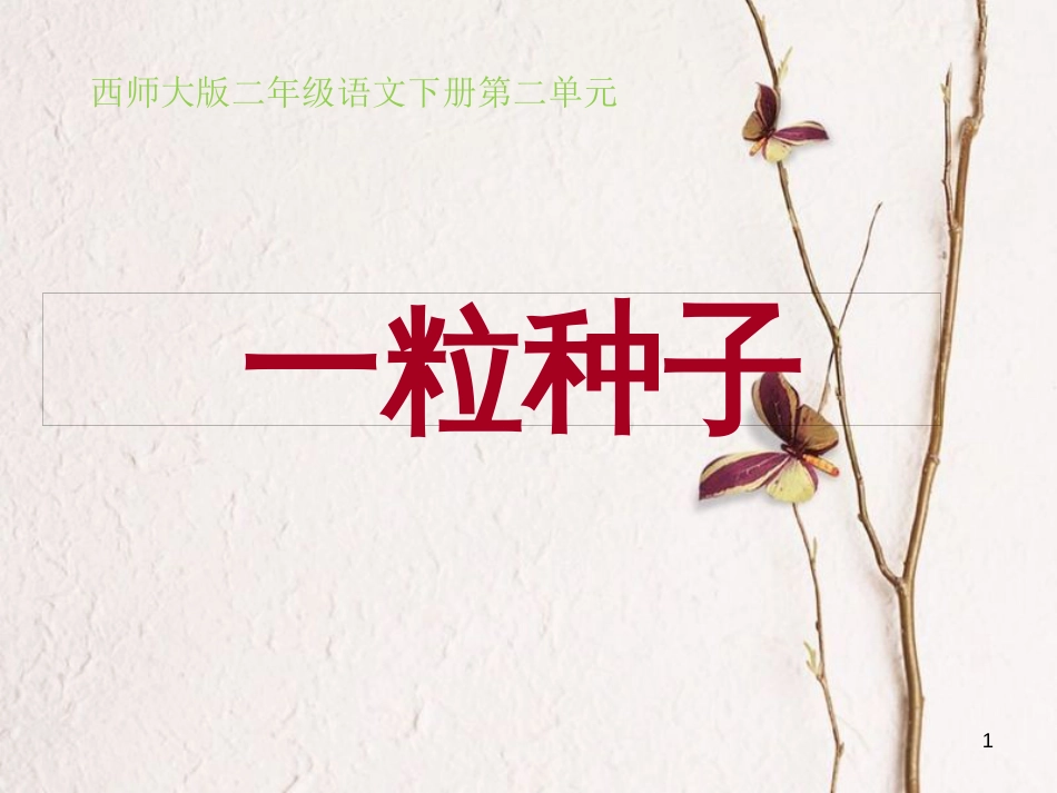 二年级语文下册 课文1 2 一粒种子教学课件 西师大版_第1页