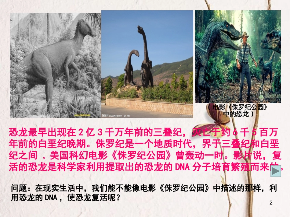 河北省南宫市高中生物第四章基因的表达课件新人教版必修2_第2页