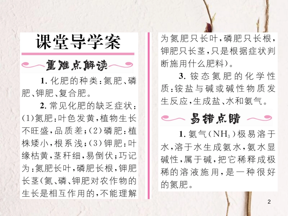 九年级化学下册 第11单元 盐 化肥 课题2 化学肥料（第1课时）化学肥料的施用作业课件 （新版）新人教版_第2页