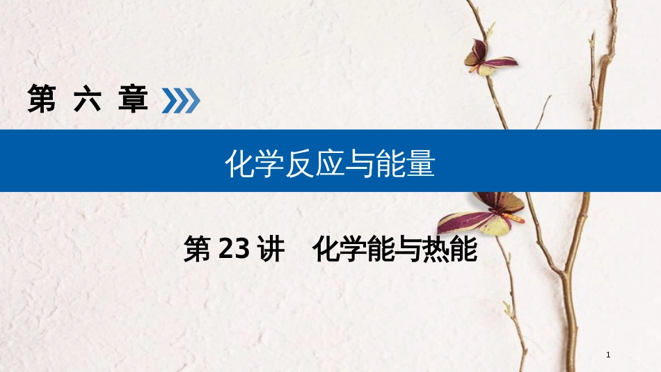 （全国通用版）2019版高考化学大一轮复习 第23讲 化学能与热能 考点3 燃烧热与中和热 能源优选课件_第1页