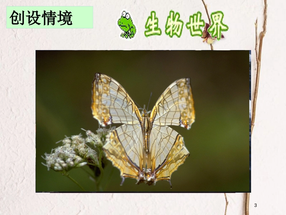八年级生物上册 第6单元 第三章 保护生物的多样性课件 （新版）新人教版_第3页