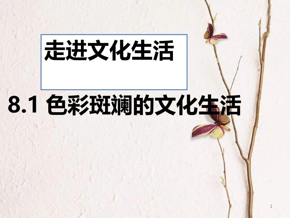 高中政治 8.1色彩斑斓的文化生活课件 新人教版必修3_第1页