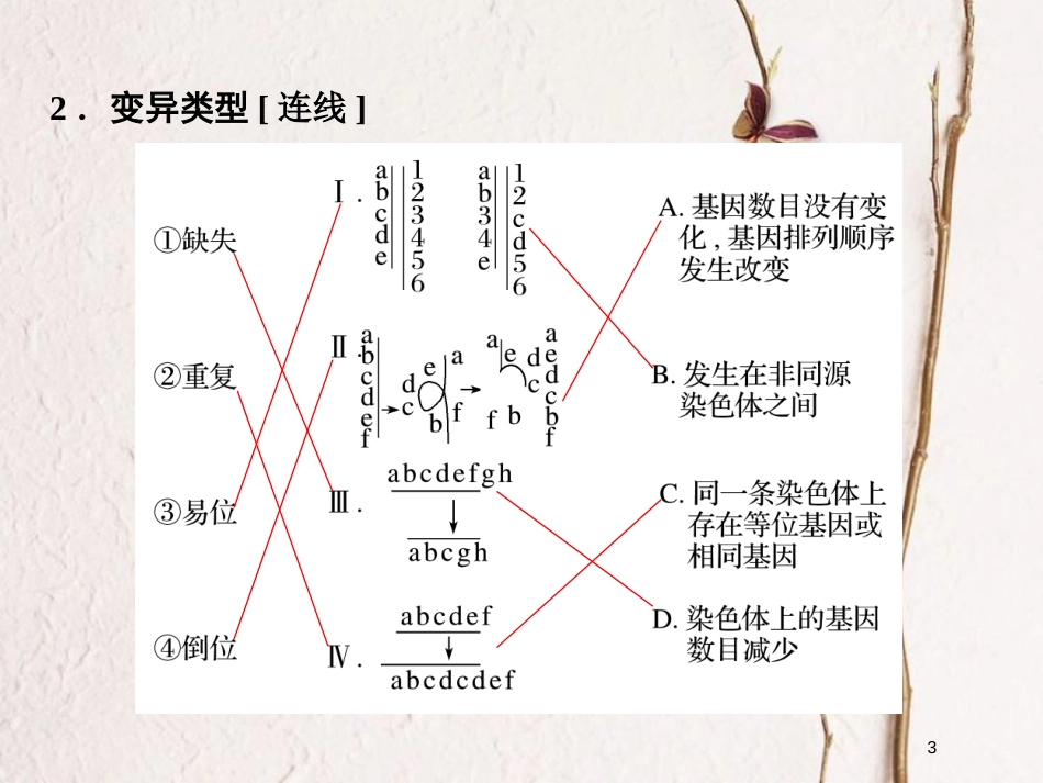 高中生物 第三章 遗传和染色体 第10课时 染色体变异及其应用课件 苏教版必修2_第3页