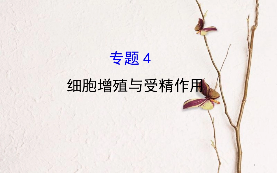 高三生物二轮复习 2.4 专题4 细胞增殖与受精作用课件_第1页
