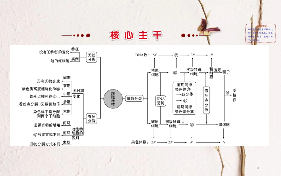 高三生物二轮复习 2.4 专题4 细胞增殖与受精作用课件_第3页