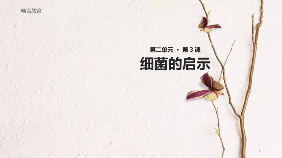 八年级语文下册 第二单元 3《细菌的启示》教学课件 北师大版_第1页