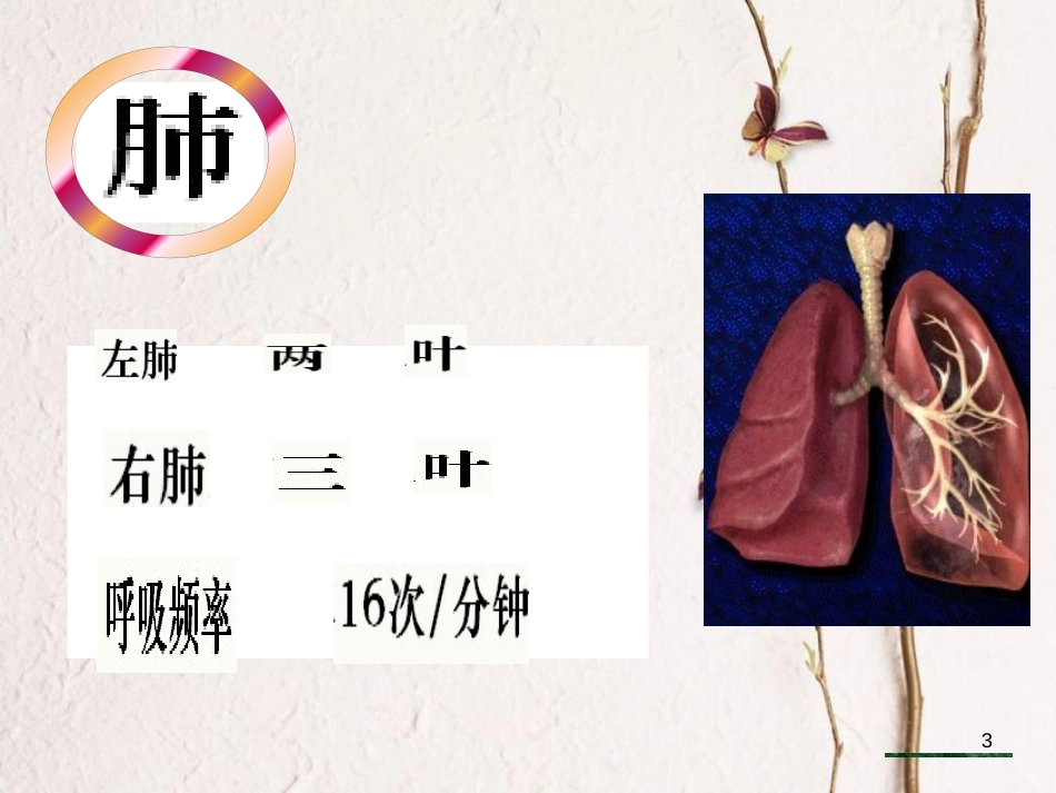 七年级生物下册 第4单元 第3章 第2节 发生在肺内的气体交换课件 （新版）新人教版_第3页
