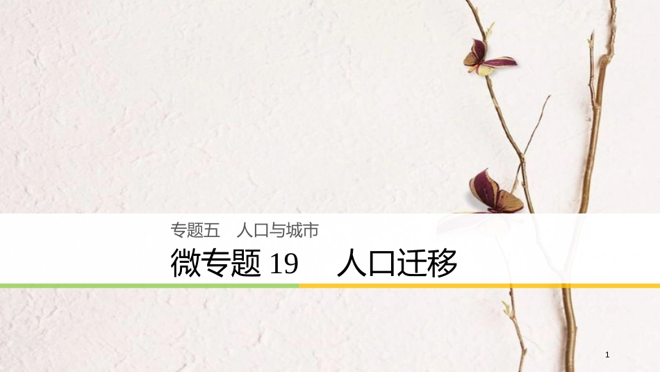 （浙江选考）版高考地理大二轮复习 专题五 人口与城市 微专题19 人口迁移课件_第1页