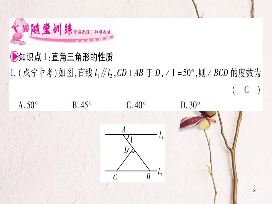 八年级数学下册 第1章 三角形的证明 1.2 直角三角形习题课件 （新版）北师大版_第3页