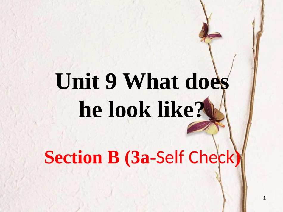 （安徽专版）七年级英语下册 Unit 9 What does he look like Section B（第3课时）教学课件 （新版）人教新目标版_第1页