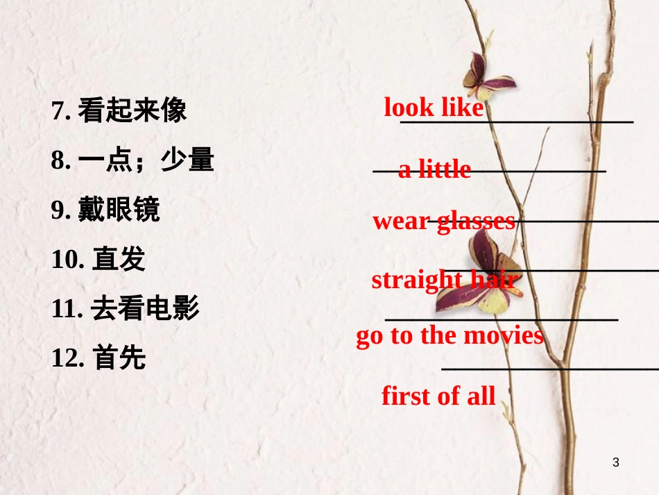 （安徽专版）七年级英语下册 Unit 9 What does he look like Section B（第3课时）教学课件 （新版）人教新目标版_第3页