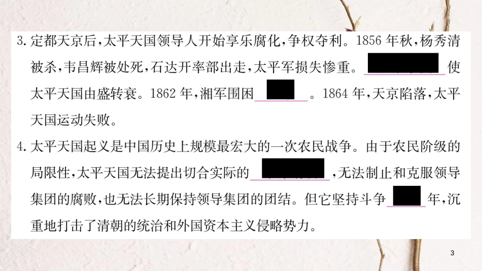 八年级历史上册 第一单元 中国开始沦为半殖民地半封建社会 3 天平天国运动课件 新人教版_第3页