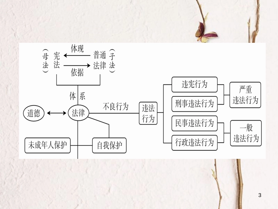 广东省年中考政治 第3部分 构建体系 第三板块 法律常识复习课件_第3页